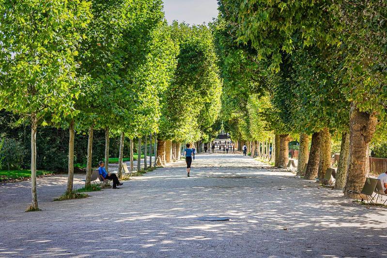 Appartement Service - Jardin Des Plantes - 5